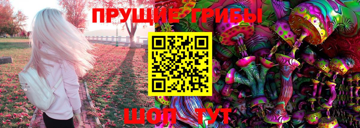 Галлюциногенные грибы Psilocybine cubensis Балтийск